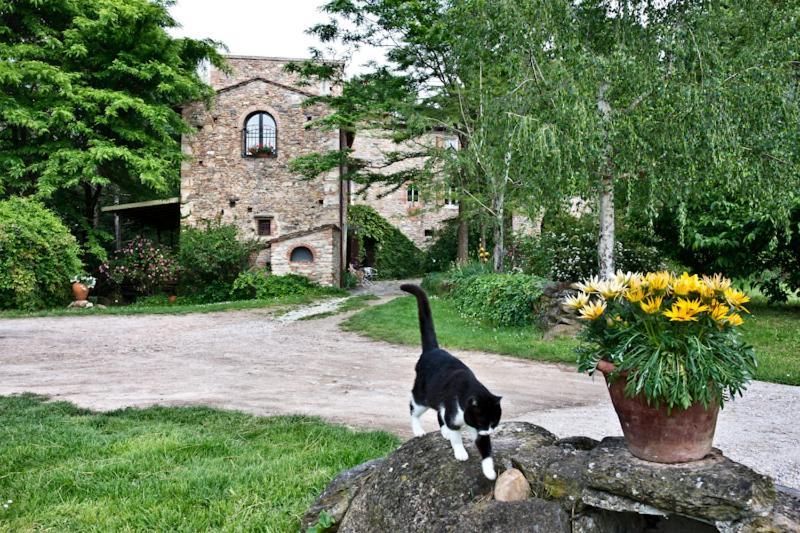 Il Molendino Pisa B&B Calci Exterior foto